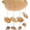 * Gwg Outlet Shell Wind Chime 7 W, 26 H 67854 | Wind Chimes