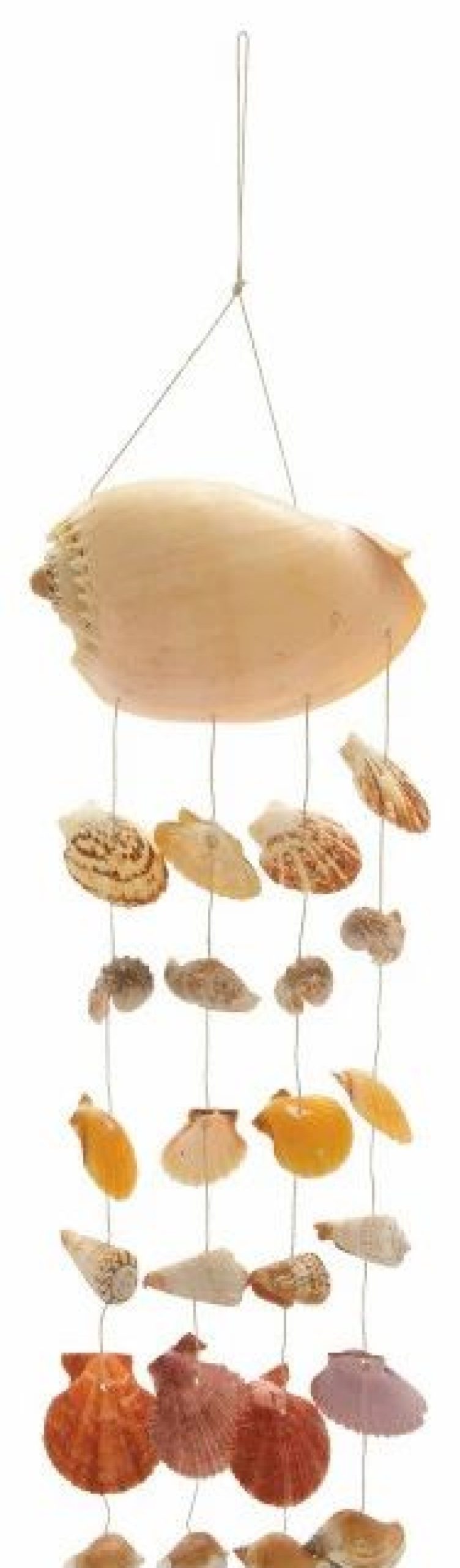 * Gwg Outlet Shell Wind Chime 7 W, 26 H 67854 | Wind Chimes