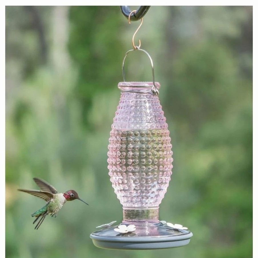 * Woodstream Corp. Perky-Pet 8131-2 Cranberry Hobnail Vintage Hummingbird Feeder, Pink | Bird Feeders