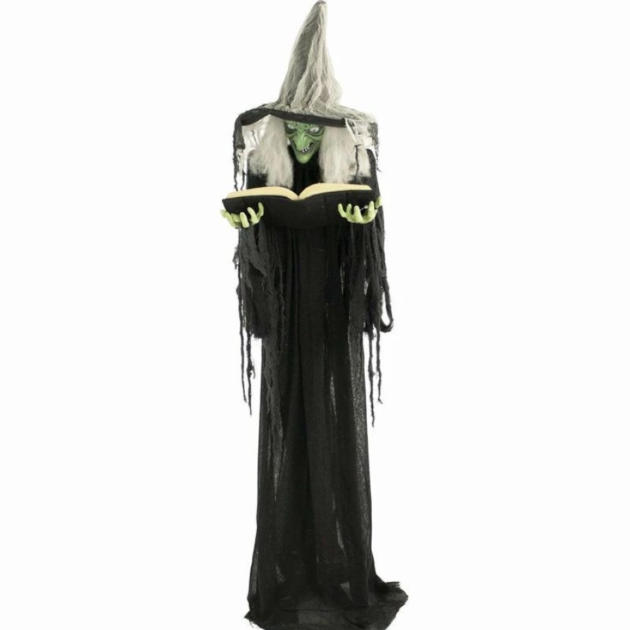 * Haunted Hill Farm Life-Size Animatronic Witch, Indoor/Outdoor Halloween Decoration | Outdoor Holiday Decorations