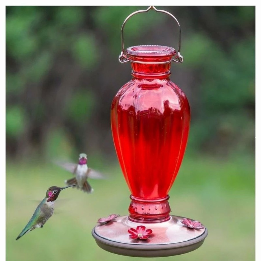 * Woodstream Corp. Perky Pet Daisy Vase Vintage Glass Humming Bird Feeder, Red | Bird Feeders