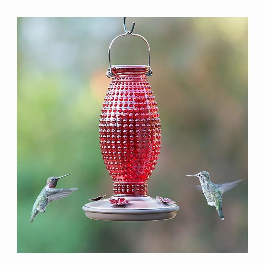 * Woodstream Corp. Perky-Pet 8130-2 Red Hobnail Vintage Hummingbird Feeder, 16 Oz | Bird Feeders