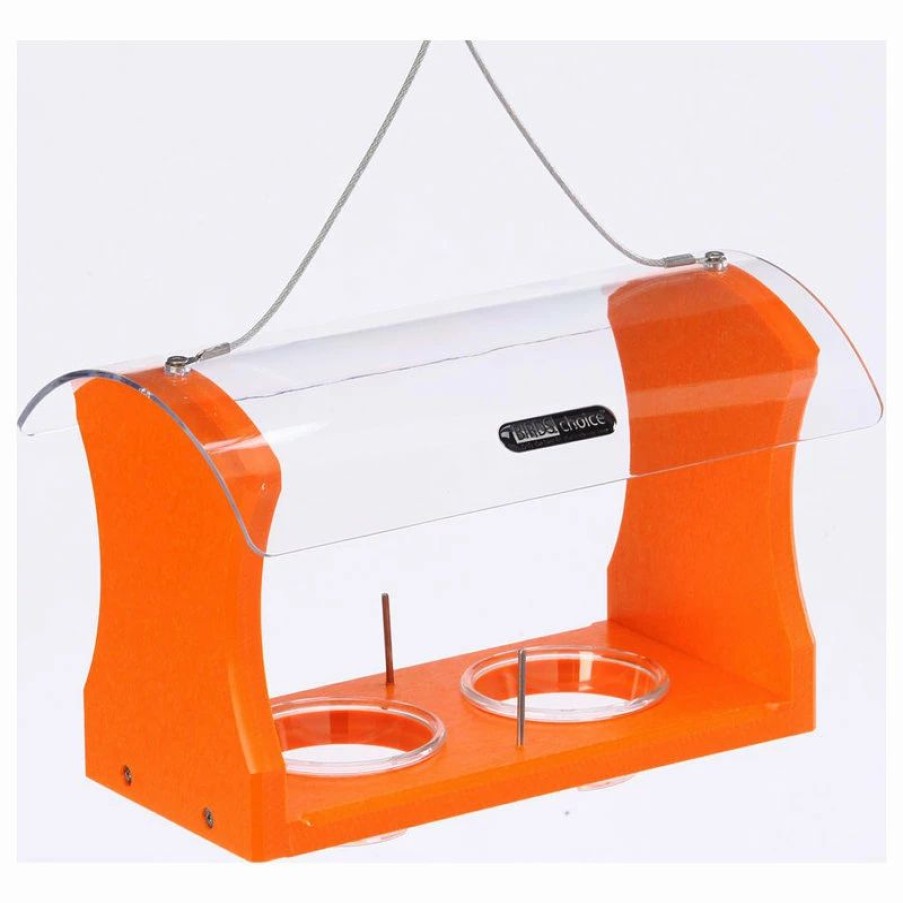 * Birds Choice Hanging Oriole Feeder | Bird Feeders